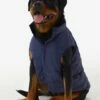 LOLE Ellie Dog Jacket - Amalfi Blue Shine -Outlet LOLE Store LAW0872 BA150 1 1900x