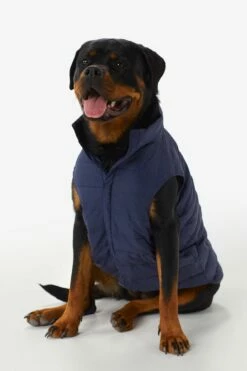 LOLE Ellie Dog Jacket - Amalfi Blue Shine