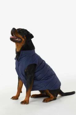 LOLE Ellie Dog Jacket - Amalfi Blue Shine -Outlet LOLE Store LAW0872 BA150 4 1900x