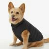 LOLE Ellie Dog Jacket - Black 2 LOLE Ellie Dog Jacket - Black -Outlet LOLE Store LAW0872 N101 1 1900x