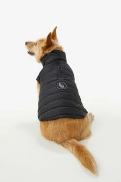 LOLE Ellie Dog Jacket - Black -Outlet LOLE Store LAW0872 N101 2 1900x