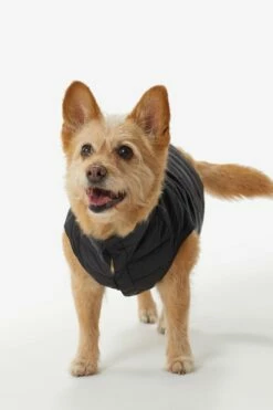 LOLE Ellie Dog Jacket - Black -Outlet LOLE Store LAW0872 N101 4 1900x
