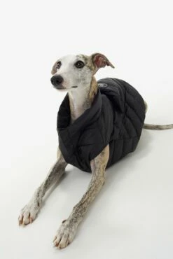 LOLE Ellie Dog Jacket - Black -Outlet LOLE Store LAW0872 N101 5 1900x