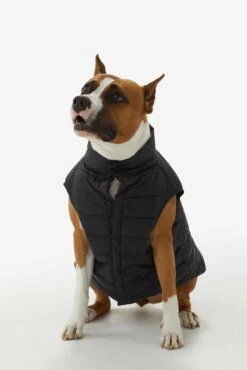 LOLE Ellie Dog Jacket - Black -Outlet LOLE Store LAW0872 N101 6 1900x