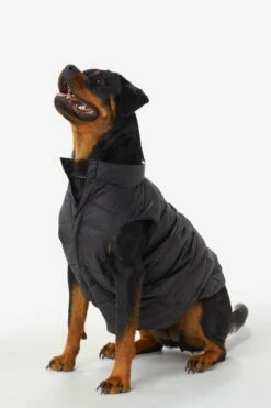 LOLE Ellie Dog Jacket - Black -Outlet LOLE Store LAW0872 N101 7 1900x